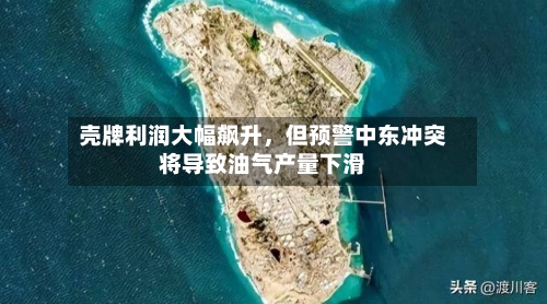 壳牌利润大幅飙升，但预警中东冲突将导致油气产量下滑-第2张图片